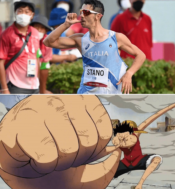 611a21d1a22ba.png